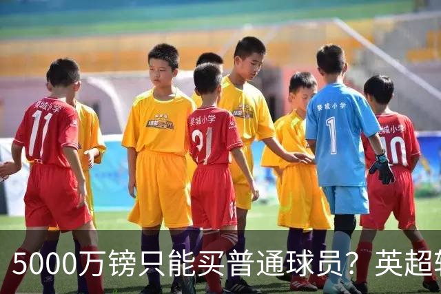 5000万镑只能买普通球员？英超转会市场彻底疯了